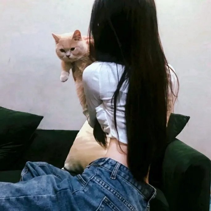 威尔和格蕾丝第八季